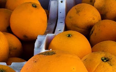 How do oranges energise body?