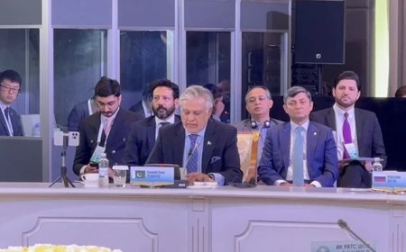 At SCO, Pakistan calls for unconditional, urgent ceasefire in Gaza