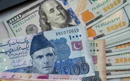 Pakistan’s foreign reserves rise to $14.6 billion