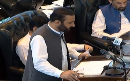KP govt unveils Rs1,754 billion 'surplus' budget for FY25