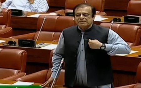Shibli Faraz censures govt for using force against PTI