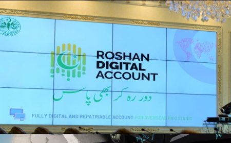 Roshan Digital Account inflow crosses $8 bln mark