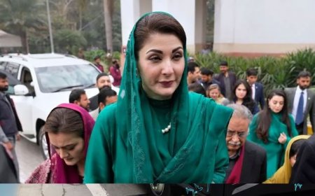 Punjab okays action against PTI founder, other leaders