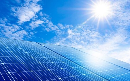 Punjab to start local manufacturing of solar panels