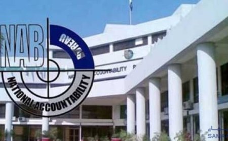 NAB gets more teeth with 40-day remand ordinance