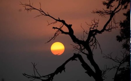 Rains likely to reduce intensity of heatwave in parts of Pakistan from May 28