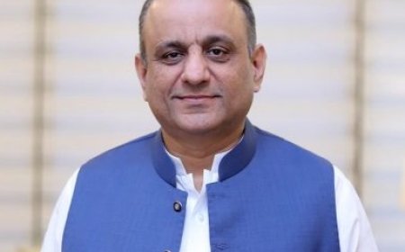 Recognition of independent state of Palestine a welcome step: Aleem