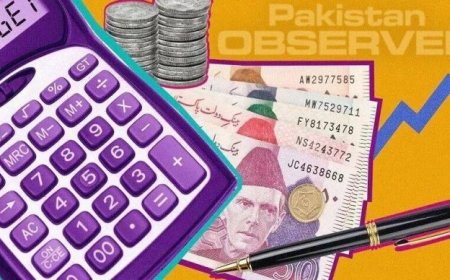 Budget 2024-25: How Much of Salary Raise is Proposed for Govt Employees this year?