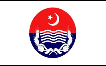 16 criminal gangs busted