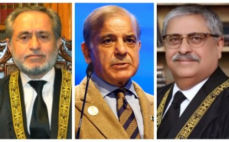 PM Shehbaz's 'black sheep' remarks draw Supreme Court judges' ire