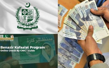 Benazir Kafalat Program 2024; Check Latest Update with CNIC Online