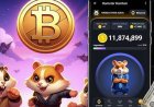 What is Hamster Kombat: All you need to know about viral app