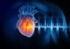 Loss of sense of smell linked to heart failure, claims study