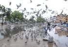 Thundershowers expected in Karachi today: PMD