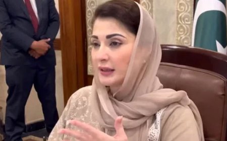 Naming of hospital depts after CM Maryam challenged in LHC