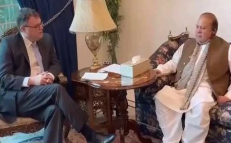 Norwegian envoy calls on Nawaz