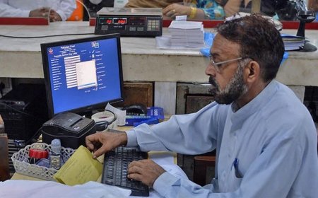 Pakistan sees 7% fall in unemployment rate this year: survey