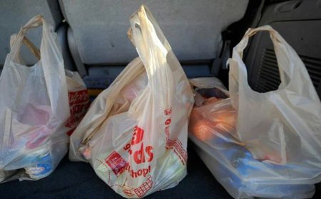 Punjab plastic ban goes into effect