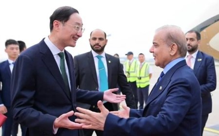 PM Shehbaz receives warm welcome from Chinese Vice FM in Beijing