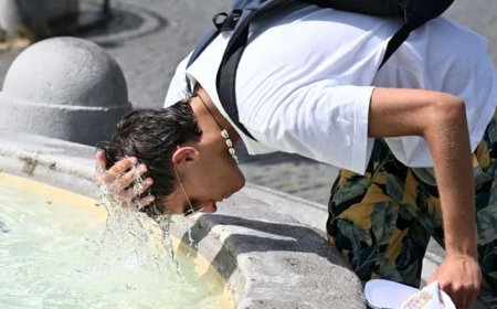 Earth records highest temperatures in last 12 months