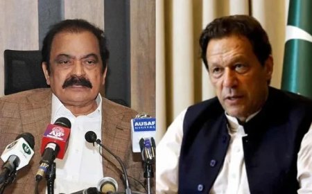 Imran Khan to face new cases in coming days: Sanaullah