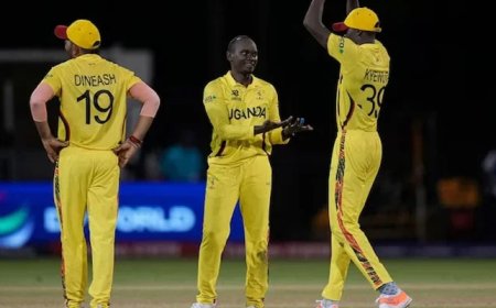 T20 World Cup 2024: Uganda restrict Papua New Guinea to 77-run total