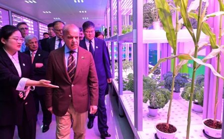 Pakistan to send 1,000 students to China for agriculture training