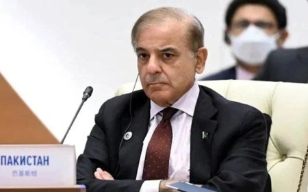 PM Shehbaz may dissolve National Assembly within three months, claims PPP leader