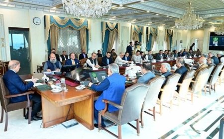 Budget 2024-25: PM Shehbaz to review development programmes in NEC meeting today