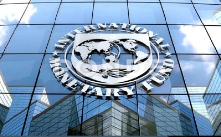 IMF demands tax on farm sector