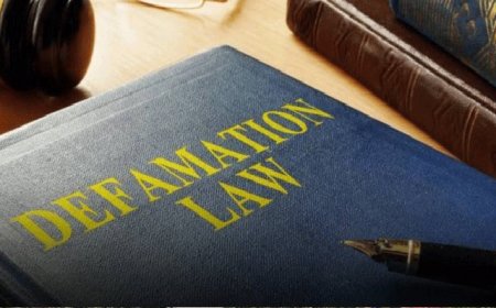 Gazette notification for Punjab Defamation Bill 2024 issued
