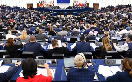 Far-right advances in EU Election, France calls snap national vote