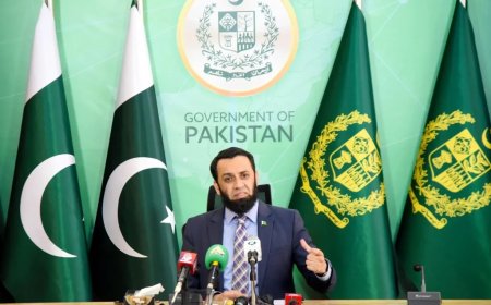 Attempts to disrupt Pak-China ties will be foiled: Tarar