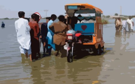 Any climate budget 'change' for Pakistan in FY25?