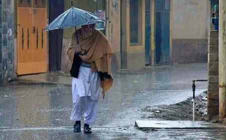 Monsoon rains likely after Jun 19 in some parts of country: chief meteorologist