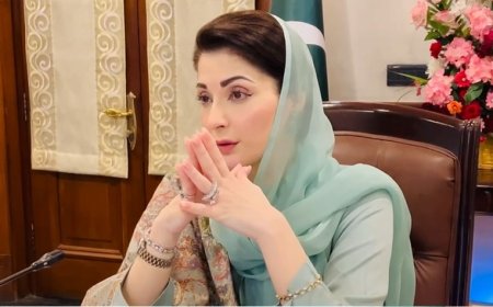 Maryam approves program to rid Punjab of spurious drugs