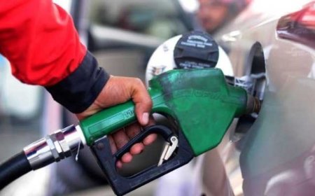 Budget FY 2024-25: Govt proposes 33 pc hike in levy on petrol, diesel