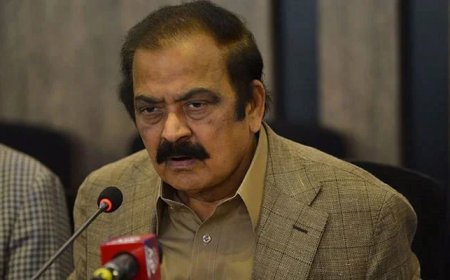 PPP, PML-N to discuss reservations over CM Maryam after Eid: Rana Sanaullah