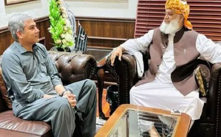 Interior Minister Mohsin Naqvi meets Fazlur Rehman
