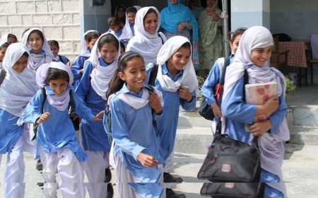 Federal govt abolishes ‘B-Form’ requirement for school admissions