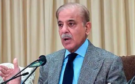 PM Shehbaz Sharif greenlights enactment of Asaan Karobar Act