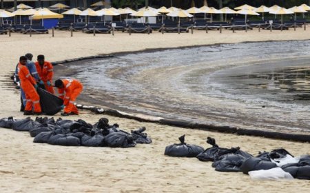 Singapore intensifies oil spill clean up after it spreads along coast