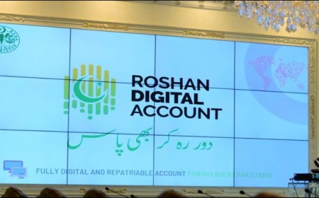 Roshan Digital Account inflows rise to $8.055 bln in May 24