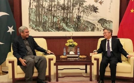 Islamabad assures Beijing of providing foolproof security to Chinese citizens