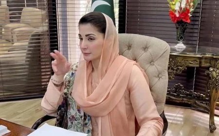 Punjab's majority satisfied with CM Maryam's govt performance: survey