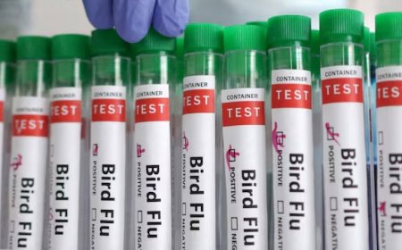 Bird flu spreads to seventh Australian poultry farm