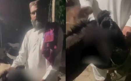 Rawalpindi man chops off female donkey's ears in another incident of animal cruelty