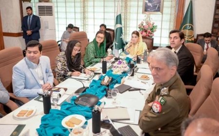 In mammoth move, CM Maryam Nawaz okays restricting ministries in Punjab