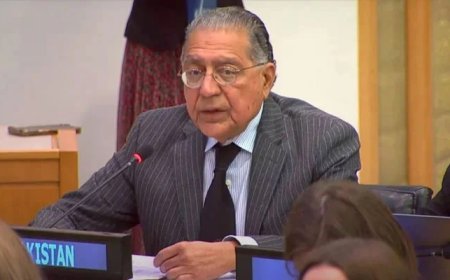Ambassador Munir Akram exposes anti-Pakistan propaganda at UN