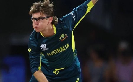 Australia defeat Bangladesh in rain-affected T20 World Cup match